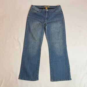 Bliss Blass Classic Boot Cut Jeans in Blue Denim